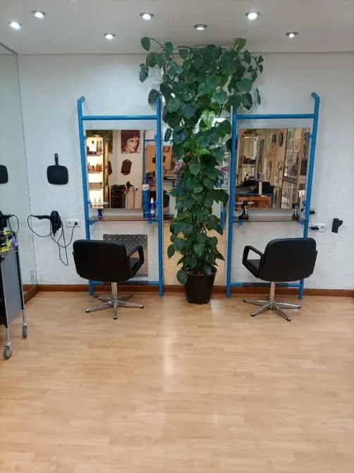 Traspaso Peluquería Unisex Madrid - foto 1
