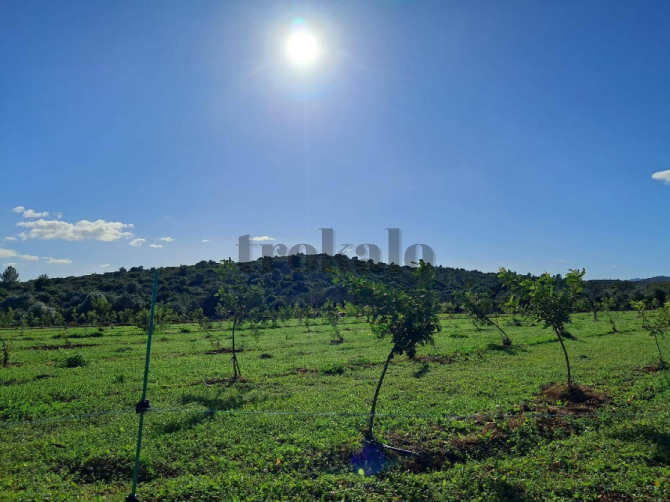 Finca rustica de con caseta Valencia - foto 3