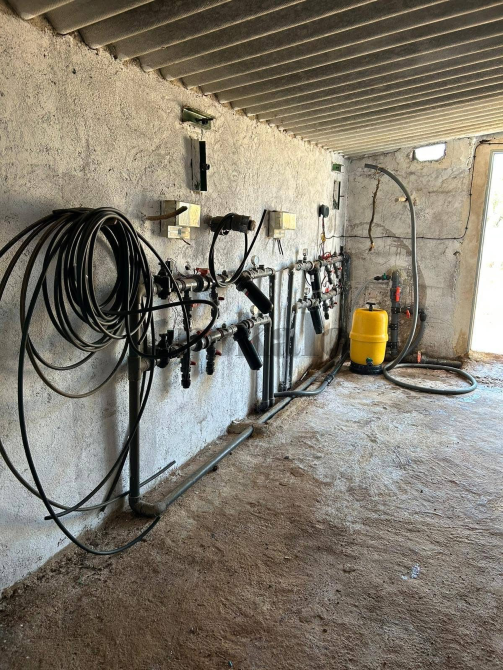 Finca rustica de con caseta Valencia - foto 1