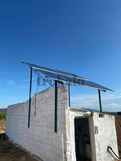 Finca rustica de con caseta Valencia - foto 5