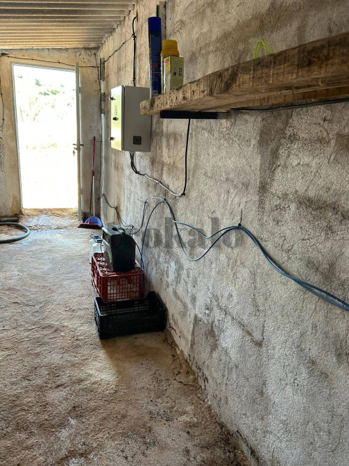 Finca rustica de con caseta Valencia - foto 4