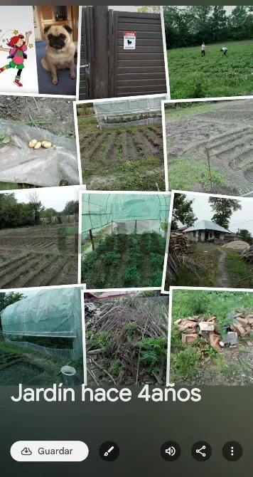 Desbrozado y Limpieza de Jardínes Almeria - foto 1