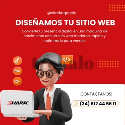 Diseño y Desarrollo Web Profesional Para Empresas y Emprendedores Murcia - foto 1