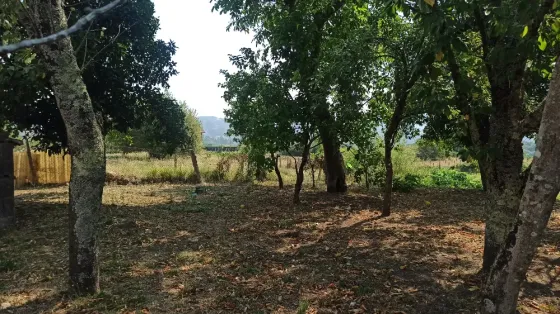 Casa de Pueblo Con Posibilidades en Galicia Pontevedra