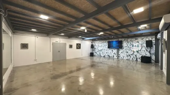 Alquiler de Sala Para Cumpleaños y Eventos Varios. Palma