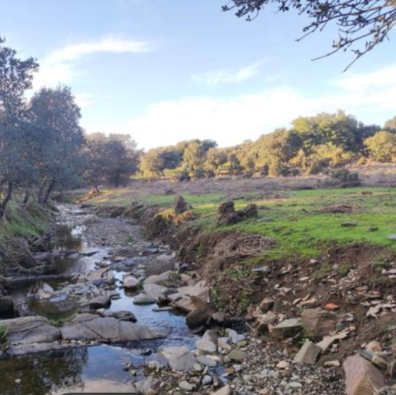 Finca Rústica Caceres
