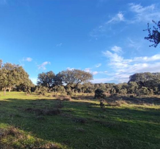 Finca Rústica Caceres