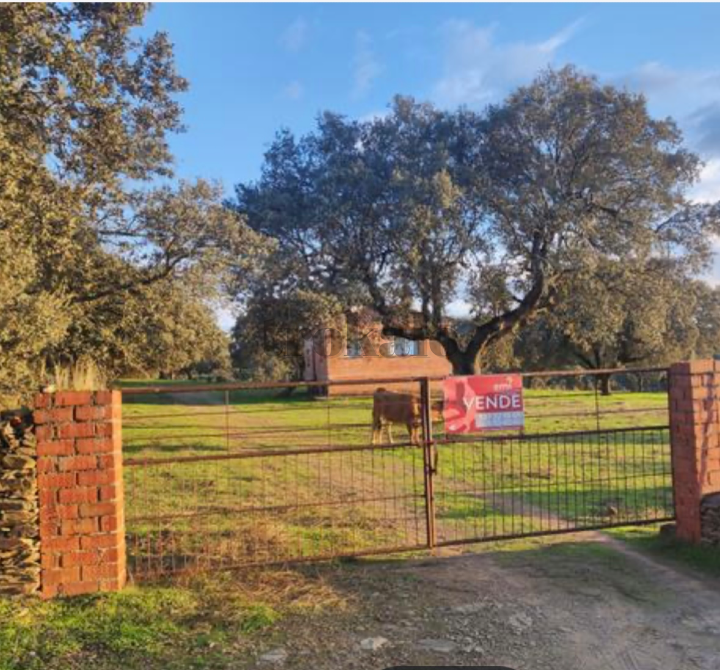 Finca Rústica Caceres - foto 3