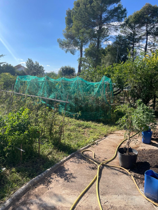 Venta de Casa a 4 Vientos + 2 Parcelas Incluidas Manresa - foto 4