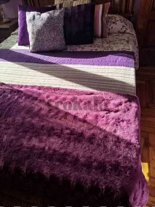 Cama Articulada Electrica Con Mandos Con Sus Respectivos Colchones Vigo - foto 1
