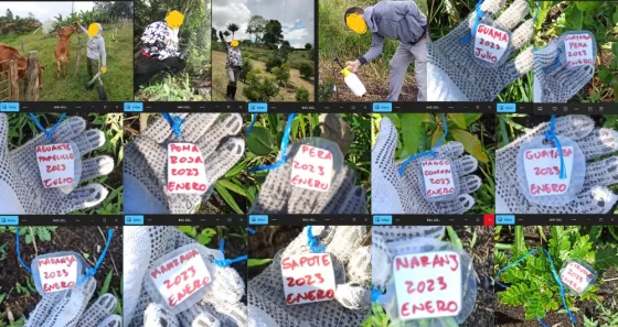 Quindío, Salento, 2.000M2 En Venta Madrid