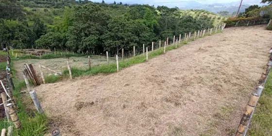 Quindío, Salento, 2.000M2 En Venta Madrid