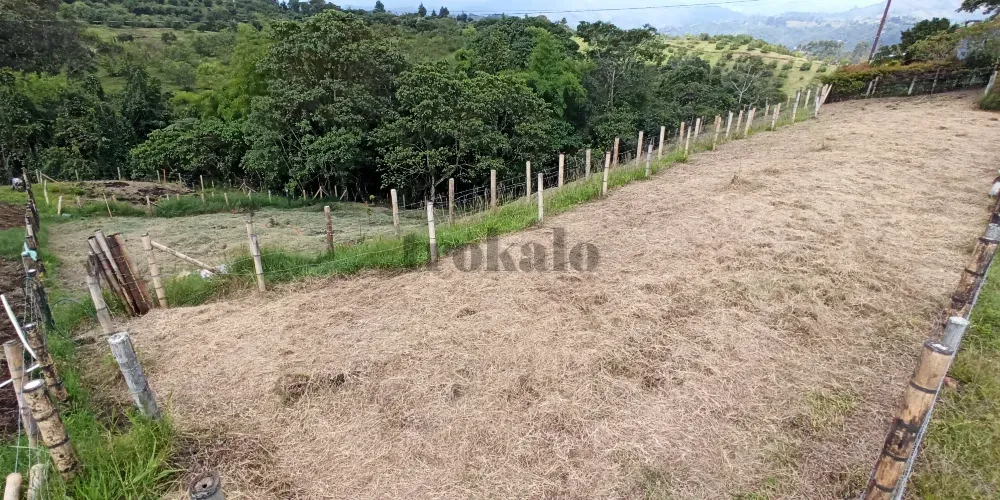 Quindío, Salento, 2.000M2 En Venta Madrid - foto 1