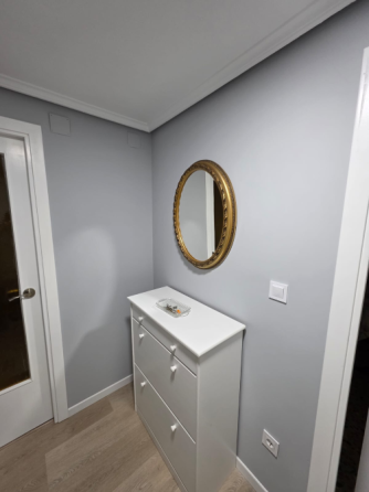 Pintor Profesional Enconomico Zaragoza Zaragoza