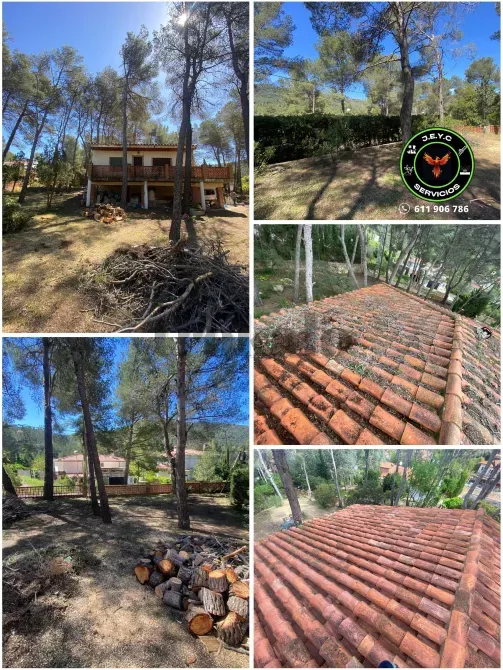 Servicios de Jardinería, Limpieza y Servicios Integrales Hogar y Negocio Tarragona - foto 3