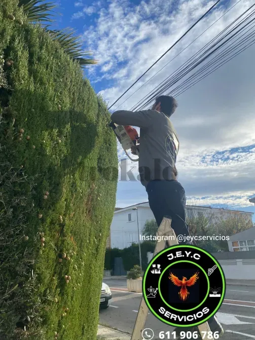 Servicios de Jardinería, Limpieza y Servicios Integrales Hogar y Negocio Tarragona - foto 8