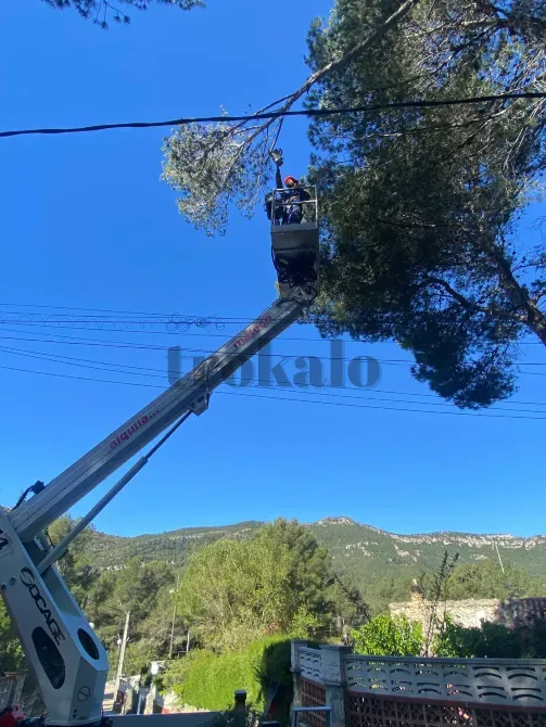 Servicios de Jardinería, Limpieza y Servicios Integrales Hogar y Negocio Tarragona - foto 4