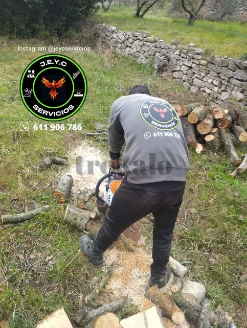 Servicios de Jardinería, Limpieza y Servicios Integrales Hogar y Negocio Tarragona - foto 1