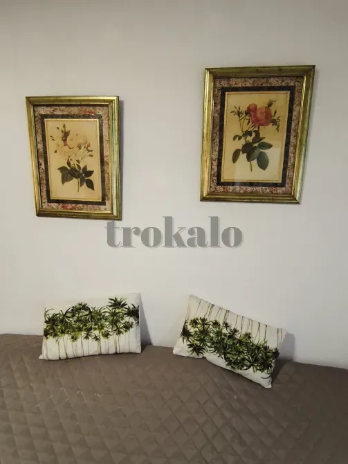 Alquilo Estudio en Granada. Granada - foto 2