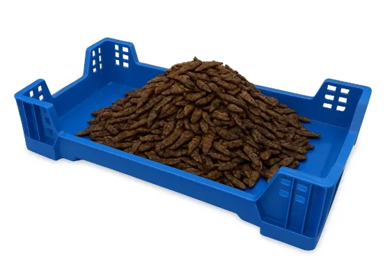 Larva Deshidratada Insecto Mosca Soldado Negra Zaragoza