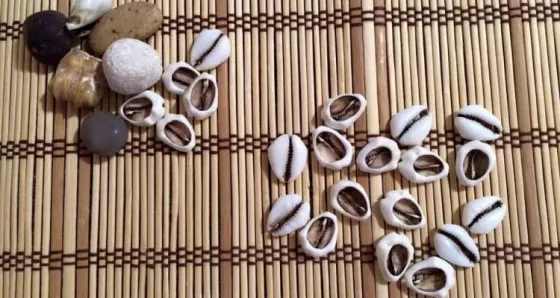 Consultas Con Caracoles Alicante