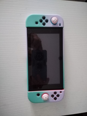 Salt And Sacrifice Nintendo Switch, Juego de Acción y Rpg Madrid