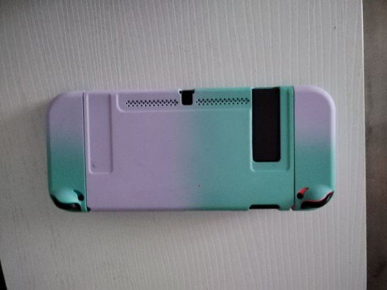 Salt And Sacrifice Nintendo Switch, Juego de Acción y Rpg Madrid