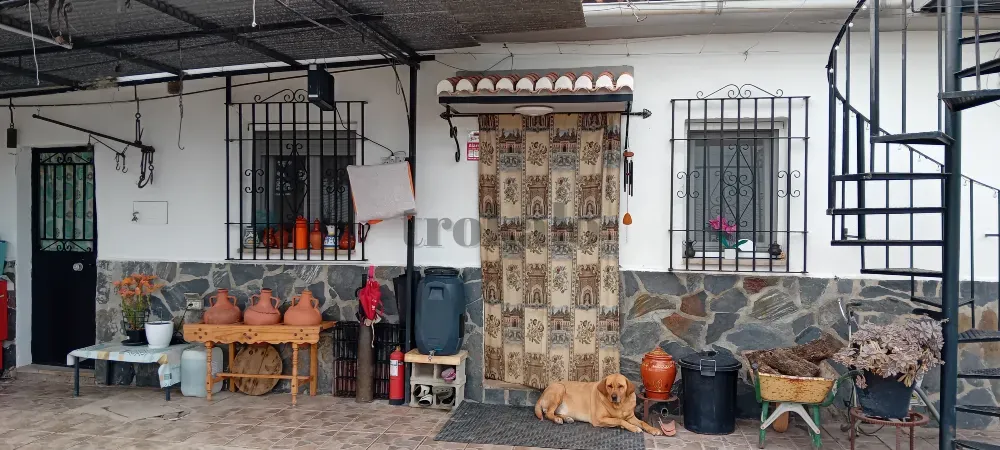 Finca Con Vivienda Granada - foto 3