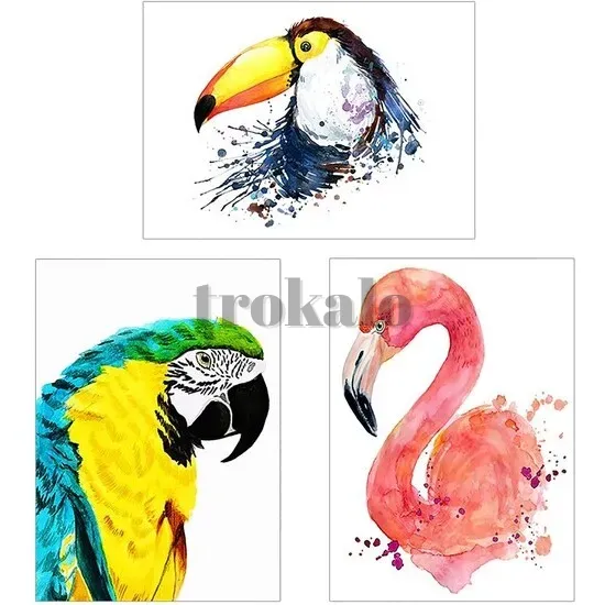 Decora tu Hogar Valladolid - foto 5