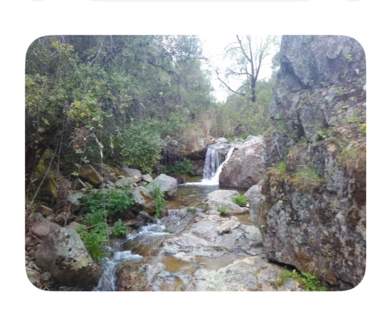 Se Alquila Preciosa Casa de Campo a la Orilla Del Guadiato Cordoba