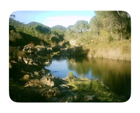 Se Alquila Preciosa Casa de Campo a la Orilla Del Guadiato Cordoba