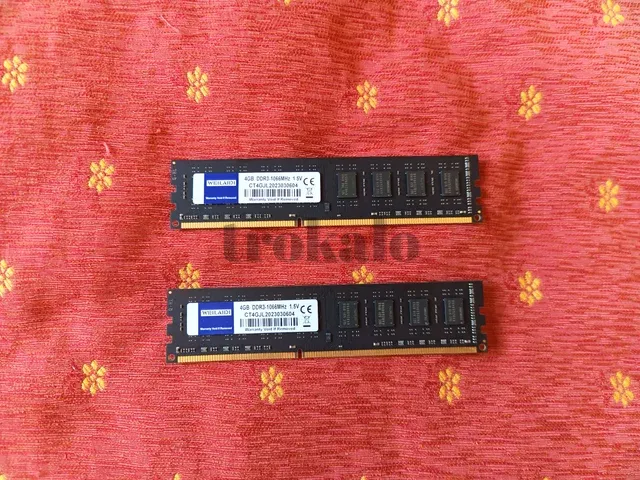 Pack 2 x 4Gb Ram Ddr3 1066Mhz (8Gb Total) Toledo - foto 1