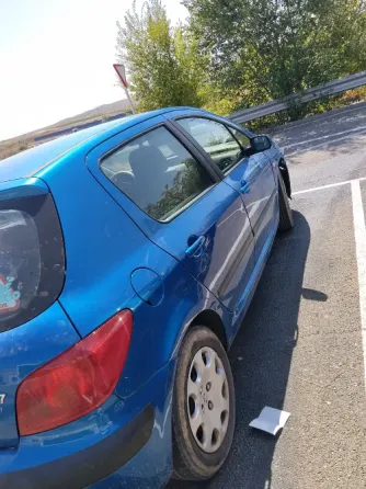 Peugeot 307 1.6 Gasolina Calatayud