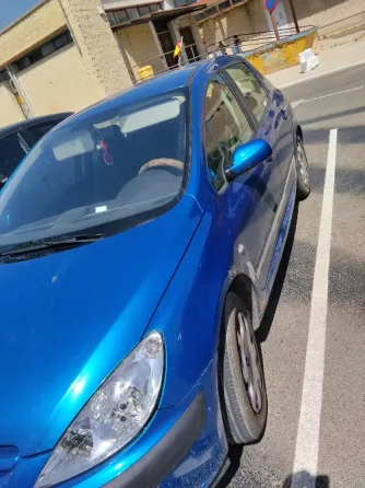 Peugeot 307 1.6 Gasolina Calatayud