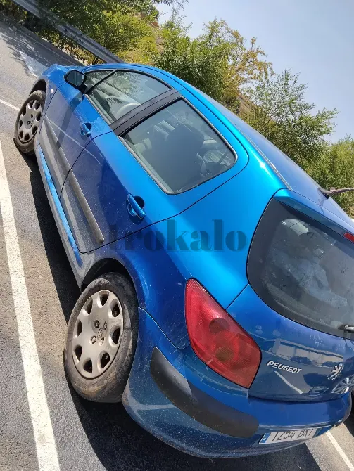 Peugeot 307 1.6 Gasolina Calatayud - foto 7