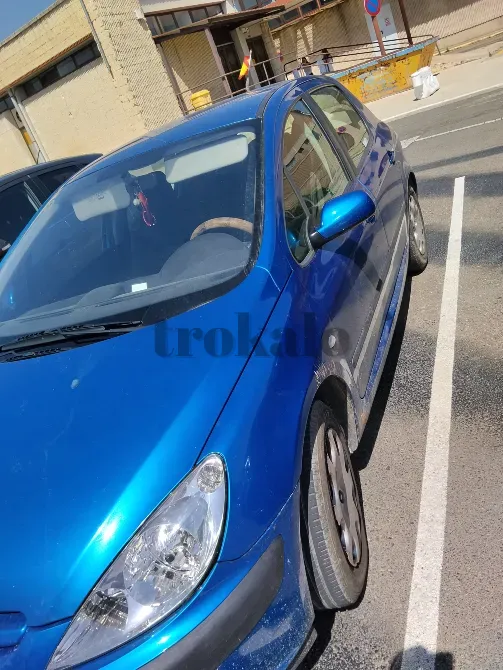 Peugeot 307 1.6 Gasolina Calatayud - foto 5