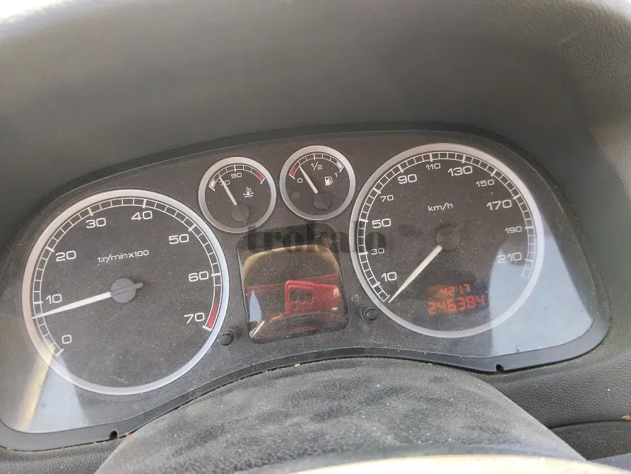 Peugeot 307 1.6 Gasolina Calatayud - foto 2