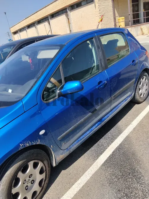 Peugeot 307 1.6 Gasolina Calatayud - foto 1