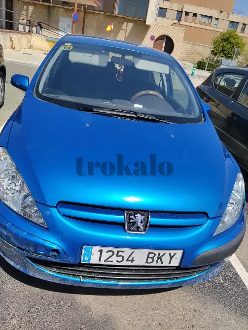 Peugeot 307 1.6 Gasolina Calatayud - foto 4