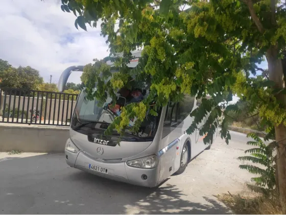 Despedidas y Fiestas Murcia