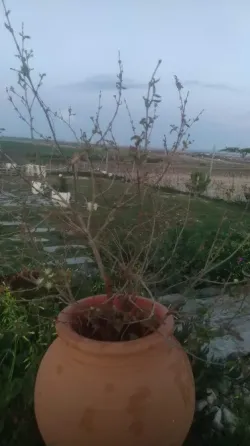 Parcela Rustica Sanlucar de Barrameda